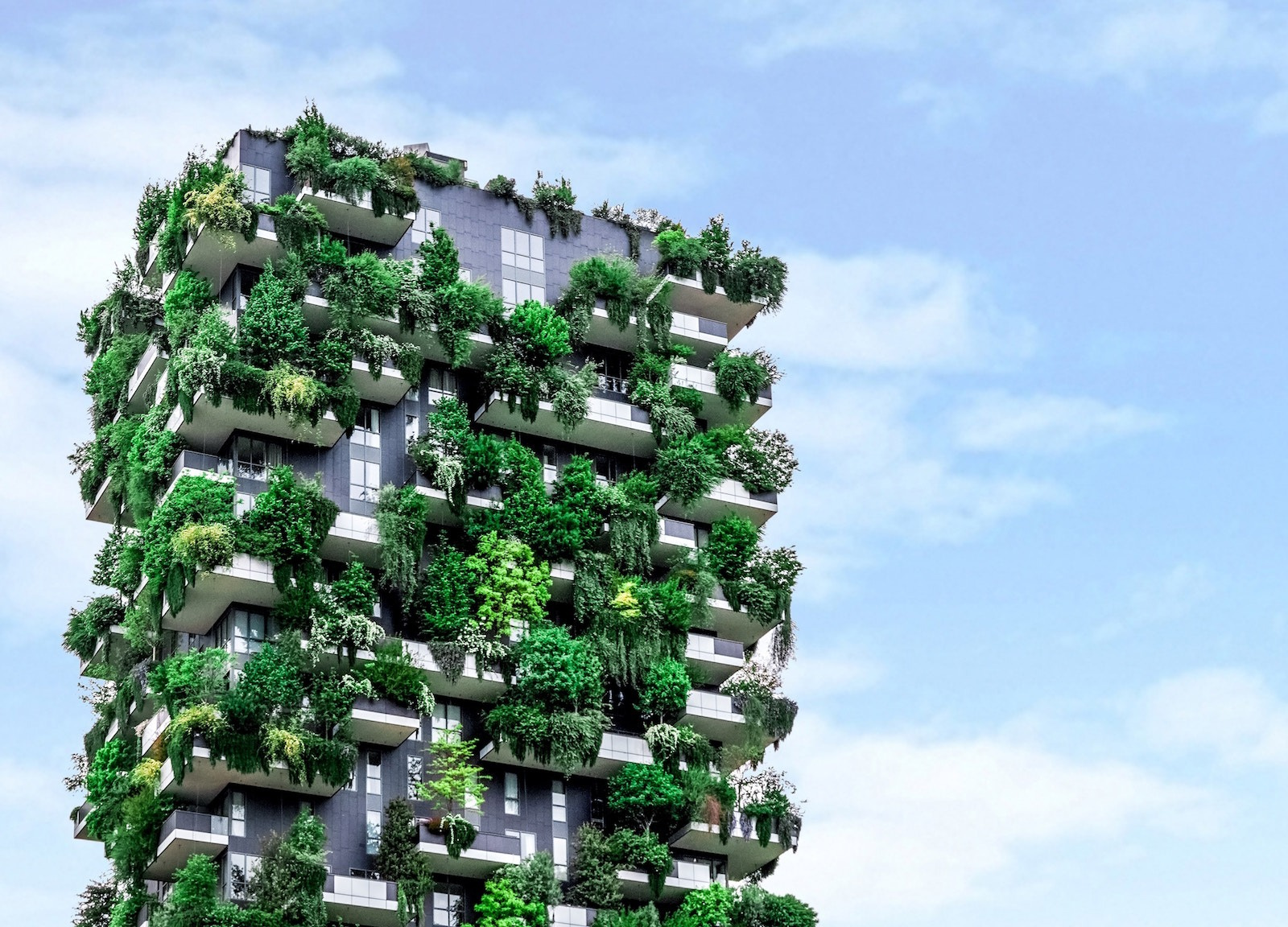 Africa's first vertical forest unveiled in Egypt | Sure Travel